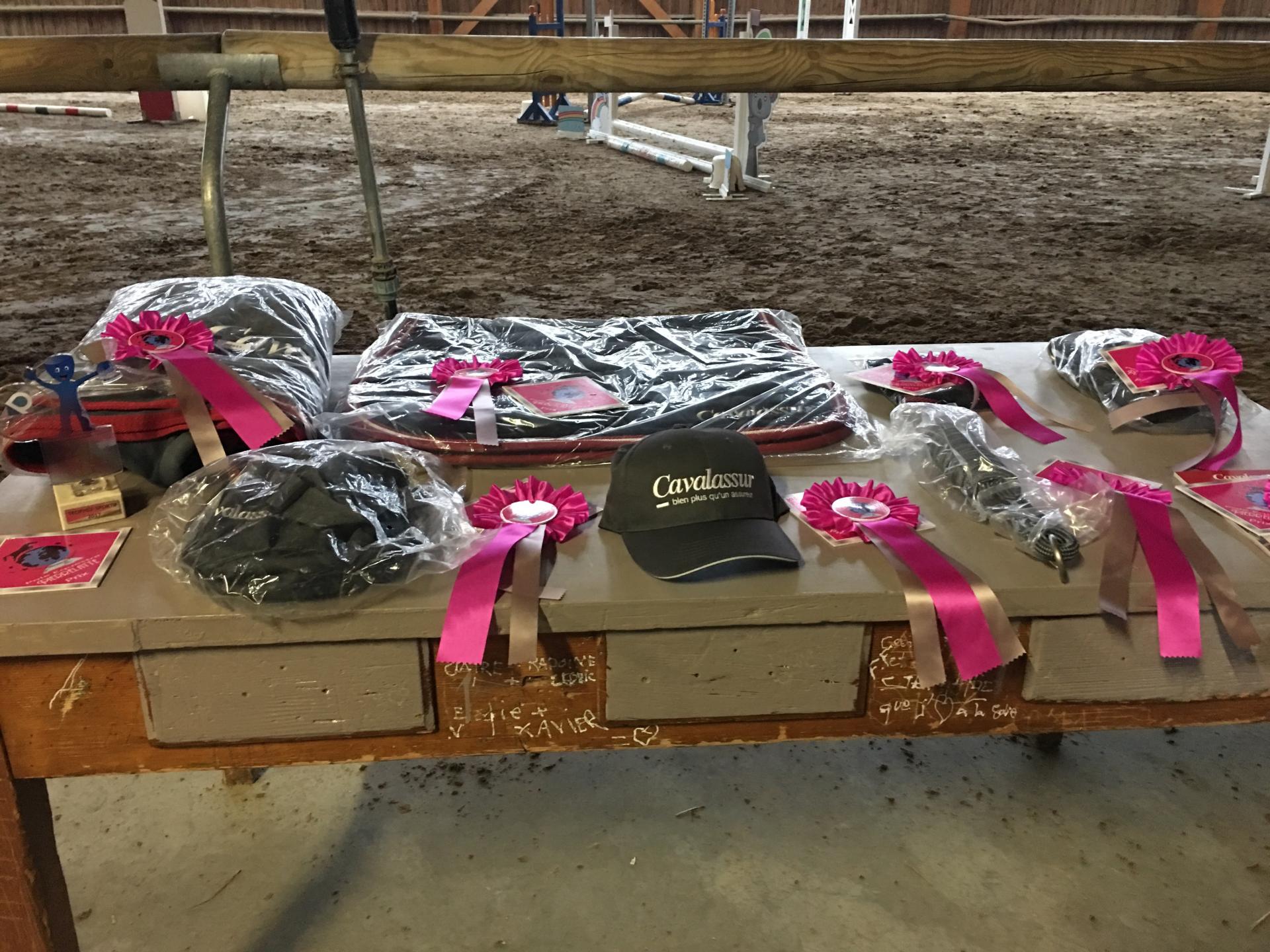 PREPARATION REMISE DES PRIX POLE FORMATION EQUESTRE