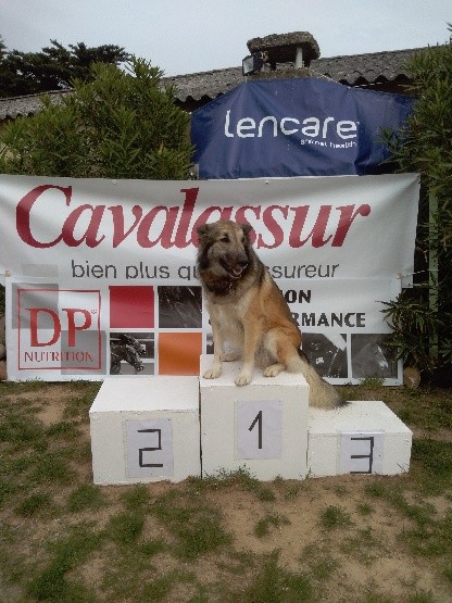 PREPARATION REMISE DES PRIX SAVASSE